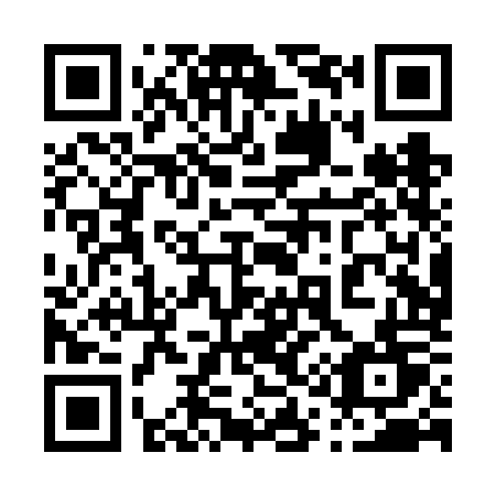 QR code for plate 010-VOT