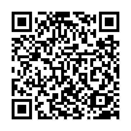 QR code for plate 013-GSX