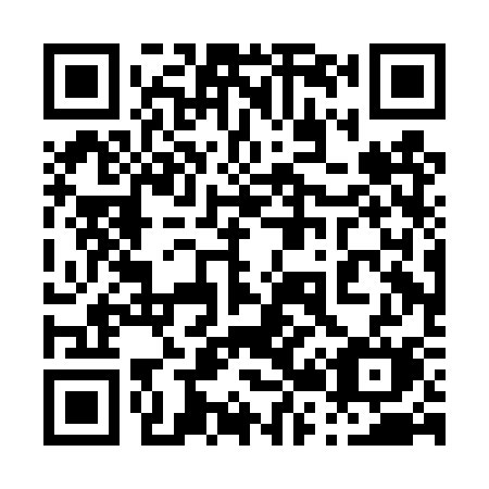 QR code for plate 020-DSM