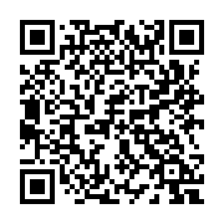QR code for 029-ISF