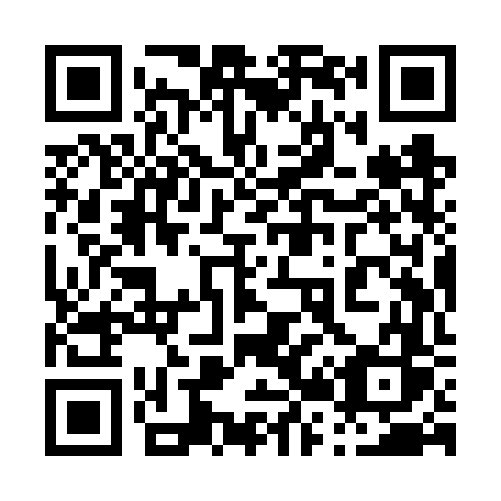 QR code for plate 029-VVS