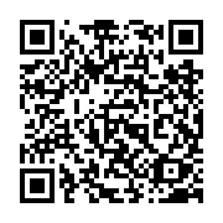 QR code for plate 038-GIY