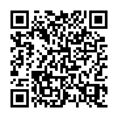 QR code for plate 038-RQS