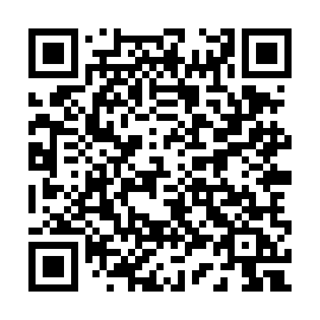 QR code for plate 038-TMC