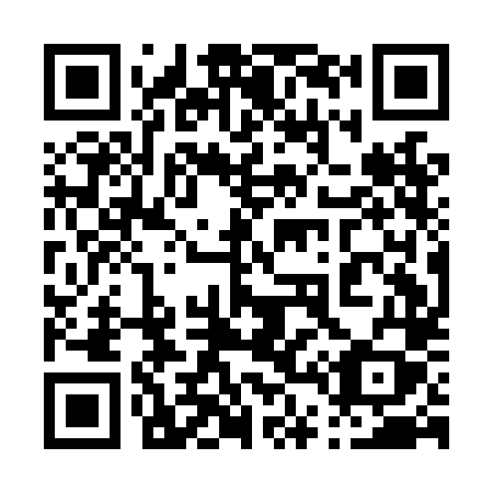 QR code for plate 041-LLY