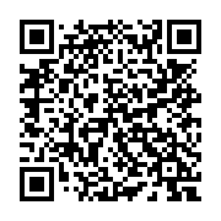 QR code for plate 043-NTE