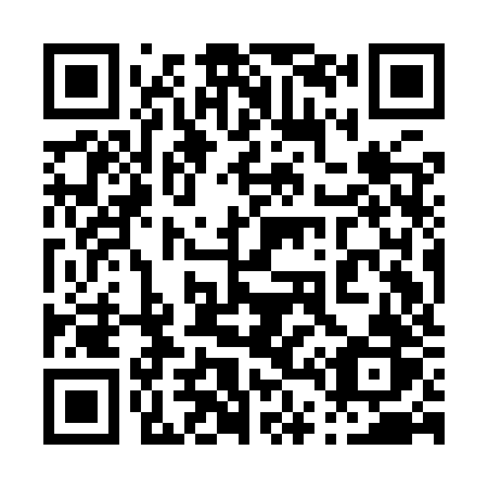 QR code for plate 049-IZR