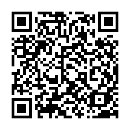 QR code for plate 061-XPI