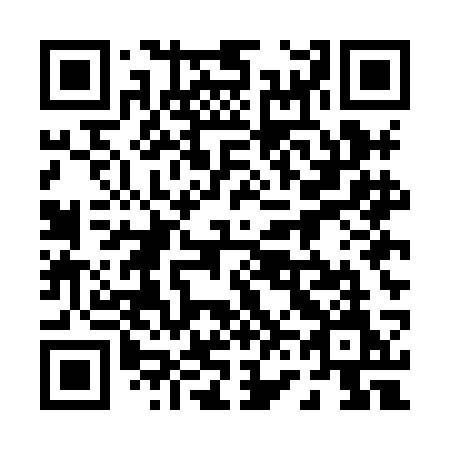 QR code for plate 065-HCM