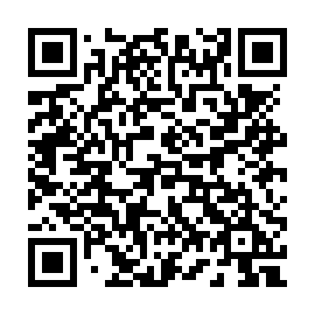 QR code for plate 071-NPE