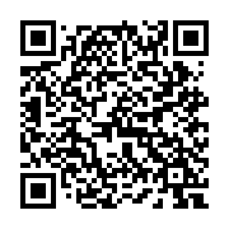 QR code for 077-BDM
