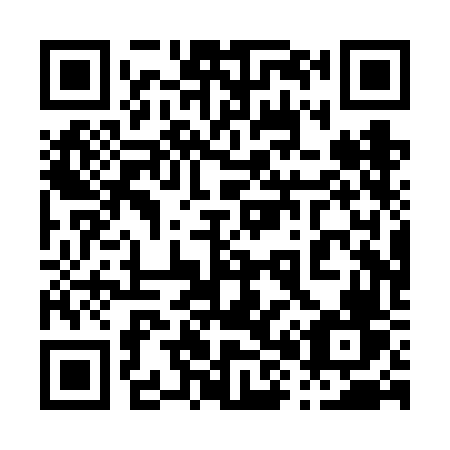 QR code for plate 080-VFV