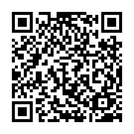 QR code for 101SGT