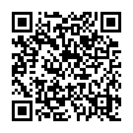 QR code for 111-CZZ