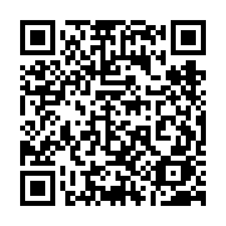 QR code for plate 111-FGJ