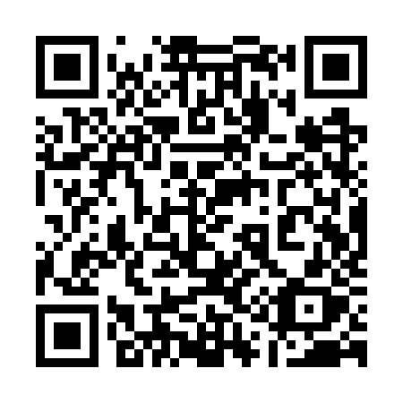 QR code for plate 111-WZX