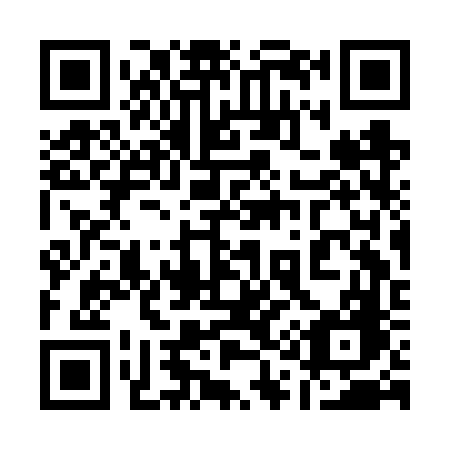 QR code for plate 113-FVG