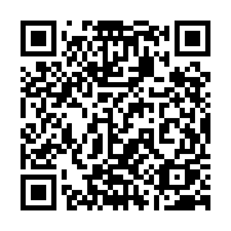 QR code for plate 119-QEQ