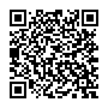 QR code for plate 125-XXO