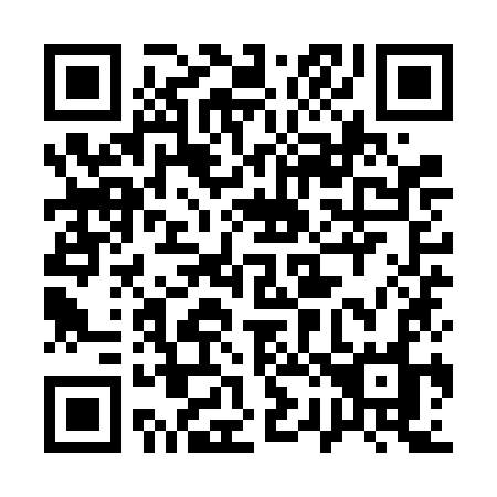 QR code for plate 129-VKO