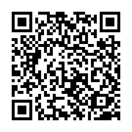 QR code for plate 132-CYY