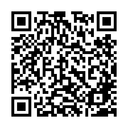 QR code for plate 133-TLG