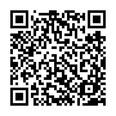 QR code for plate 133-VTM