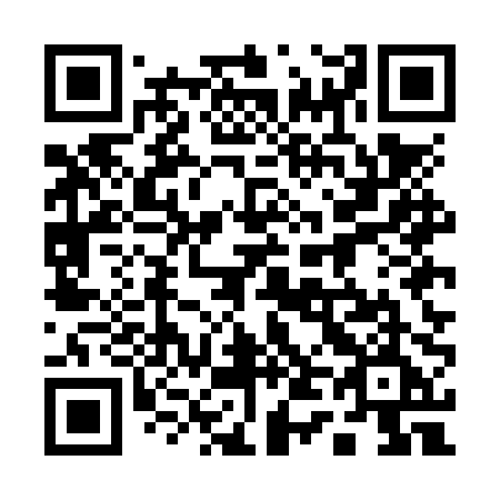 QR code for plate 145-NPE