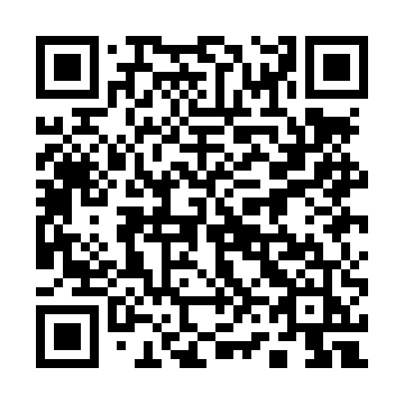QR code for 161-LUJ
