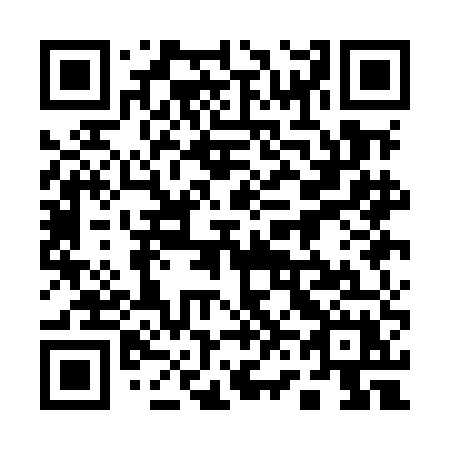 QR code for 161-MEX
