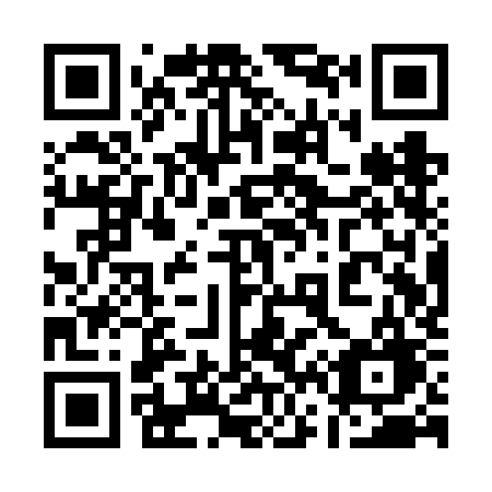 QR code for 161-VKG