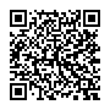 QR code for 161-XZP