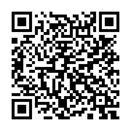 QR code for plate 163-NRH