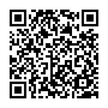 QR code for plate 163-OIT