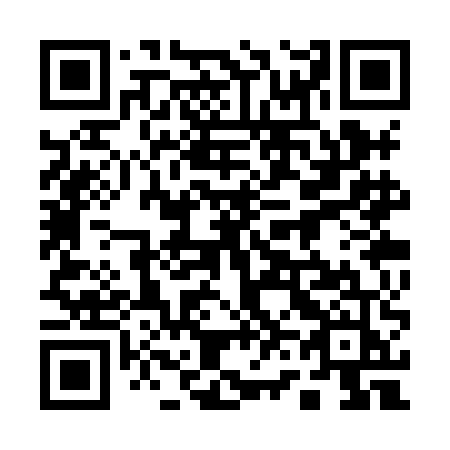 QR code for plate 163-XEJ