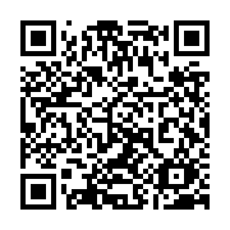 QR code for plate 196-JSO