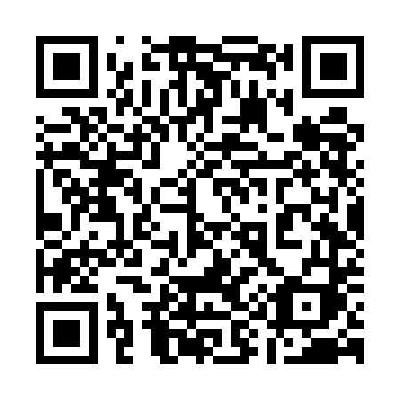 QR code for 196UDI