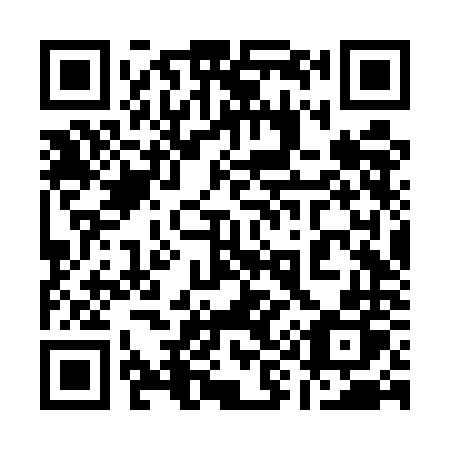 QR code for plate 196-UNP