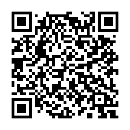 QR code for plate 199-DXB