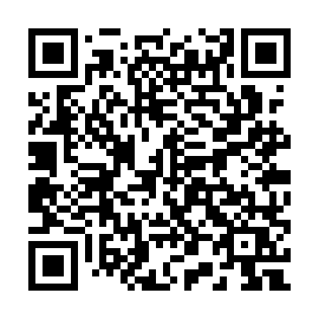 QR code for 203-QLQ