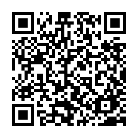 QR code for 206ZIG