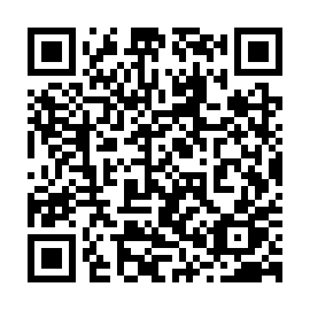 QR code for plate 207-SPP