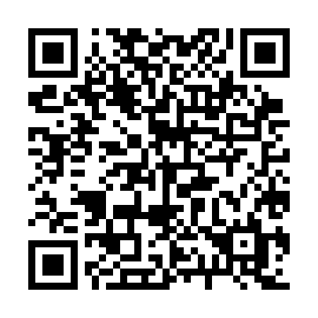 QR code for 217-CHL
