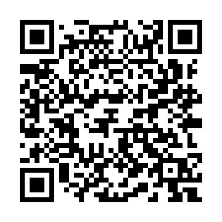 QR code for 219YKP