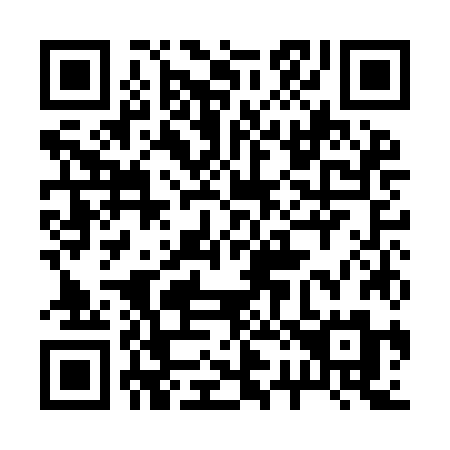 QR code for 221-IJM