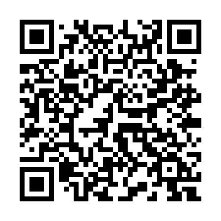 QR code for 221-PGF