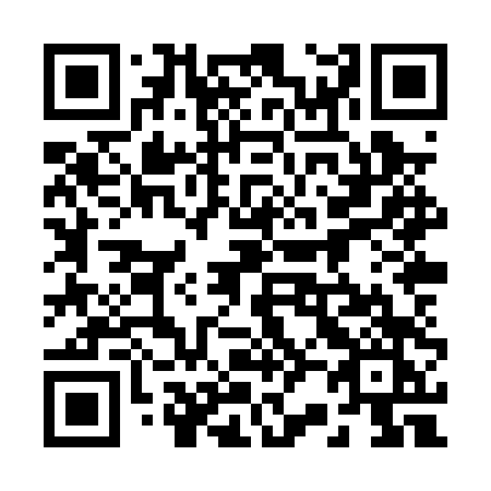 QR code for 228-PTK