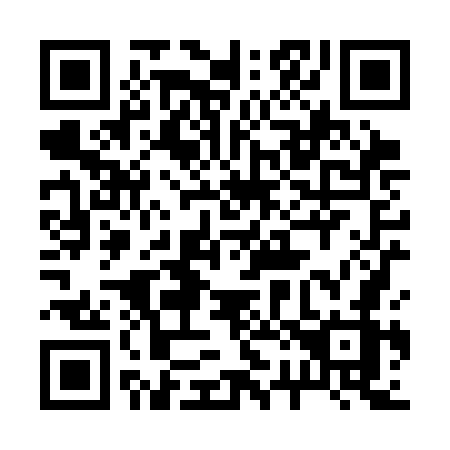 QR code for plate 228-SGZ