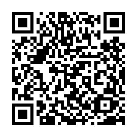 QR code for plate 229-TFZ