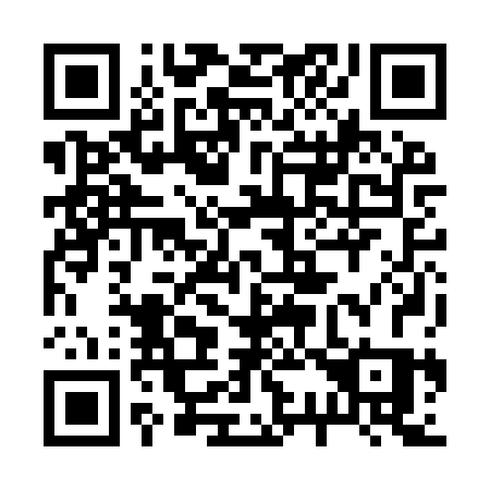 QR code for plate 232-IRS